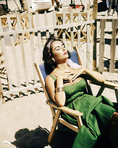 This is an image of Photograph & Poster of Elizabeth Taylor 288258