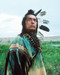 This is an image of Photograph & Poster of Dances with Wolves 288290