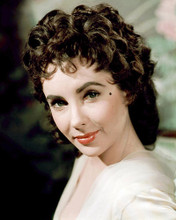 This is an image of Photograph & Poster of Elizabeth Taylor 288292