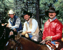 This is an image of Photograph & Poster of City Slickers 288299