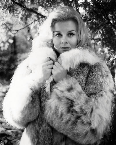 This is an image of Photograph & Poster of Ann-Margret 197201