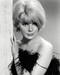 This is an image of Photograph & Poster of Elke Sommer 197329