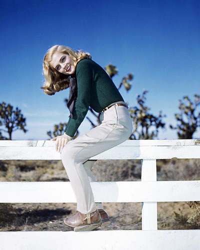 This is an image of Photograph & Poster of Lizabeth Scott 288792