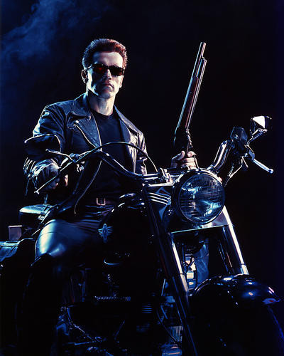 This is an image of Photograph & Poster of Arnold Schwarzenegger 288553