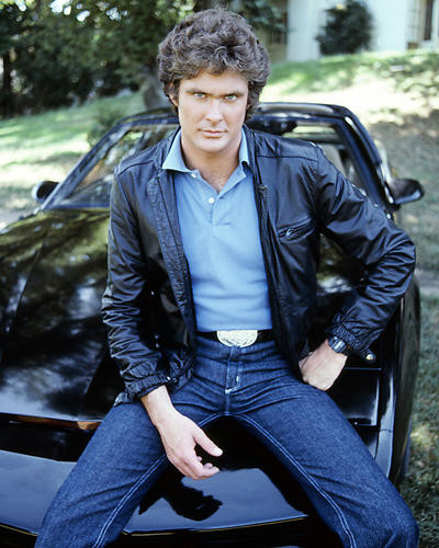 This is an image of Photograph & Poster of David Hasselhoff 288559