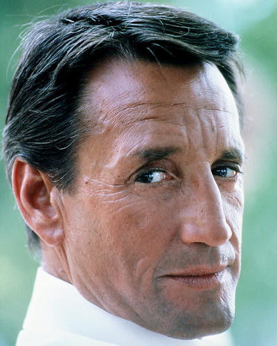 This is an image of Photograph & Poster of Roy Scheider 288564