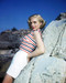 This is an image of Photograph & Poster of Lizabeth Scott 288808