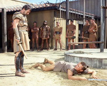 This is an image of Photograph & Poster of Spartacus 288832