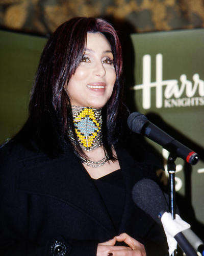 This is an image of Photograph & Poster of Cher 288864