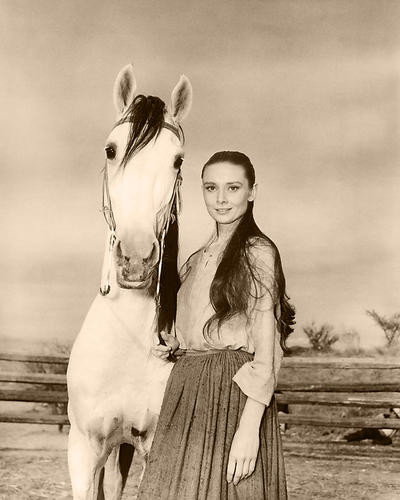 This is an image of Photograph & Poster of Audrey Hepburn 288872