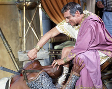 This is an image of Photograph & Poster of Spartacus 288880