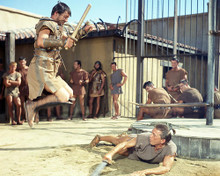 This is an image of Photograph & Poster of Spartacus 288894