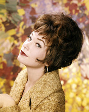 This is an image of Photograph & Poster of Shirley Maclaine 288908