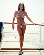 This is an image of Photograph & Poster of Raquel Welch 288731