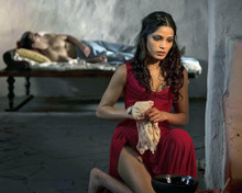 This is an image of Photograph & Poster of Freida Pinto 288740