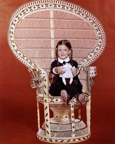 This is an image of Photograph & Poster of The Addams Family 288747