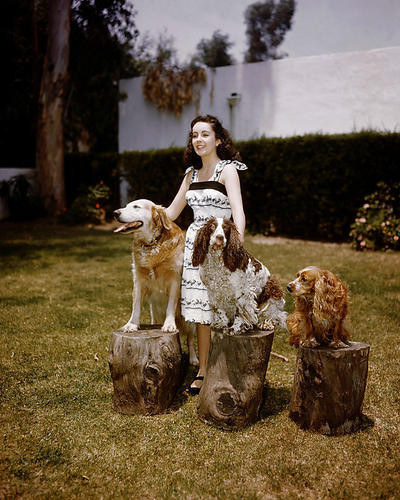 This is an image of Photograph & Poster of Elizabeth Taylor 288760