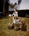 This is an image of Photograph & Poster of Elizabeth Taylor 288760