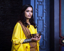 This is an image of Photograph & Poster of Freida Pinto 288770