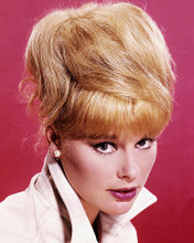 This is an image of Photograph & Poster of Elke Sommer 289136