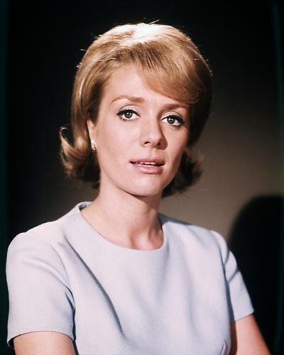 This is an image of Photograph & Poster of Inger Stevens 289119