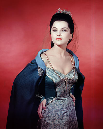 This is an image of Photograph & Poster of Debra Paget 289121