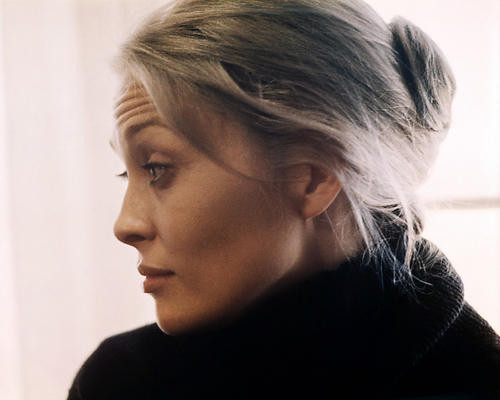 This is an image of Photograph & Poster of Faye Dunaway 289067