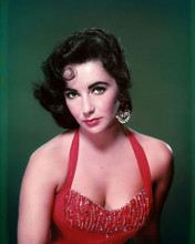 This is an image of Photograph & Poster of Elizabeth Taylor 289082