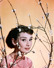 This is an image of Photograph & Poster of Audrey Hepburn 289094