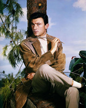 This is an image of Photograph & Poster of Laurence Harvey 289097
