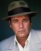 This is an image of Photograph & Poster of Robert Wagner 289167