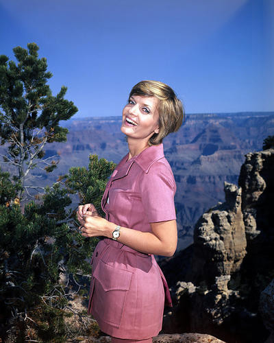 This is an image of Photograph & Poster of Florence Henderson 289208