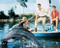 This is an image of Photograph & Poster of Flipper 289422