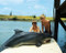 This is an image of Photograph & Poster of Flipper 289426