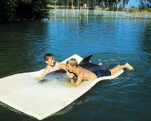 This is an image of Photograph & Poster of Flipper 289439