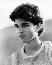This is an image of Photograph & Poster of Ralph Macchio 197557