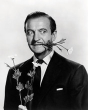 This is an image of Photograph & Poster of David Niven 197598
