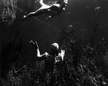 This is an image of Photograph & Poster of The Creature from the Black Lagoon 198002