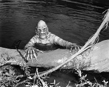 This is an image of Photograph & Poster of The Creature from the Black Lagoon 198018