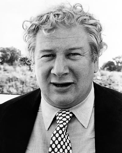 This is an image of Photograph & Poster of Peter Ustinov 198090