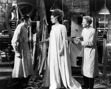 This is an image of Photograph & Poster of Bride of Frankenstein 198258