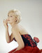 This is an image of Photograph & Poster of Kim Novak 289612