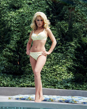 This is an image of Photograph & Poster of Stella Stevens 289637