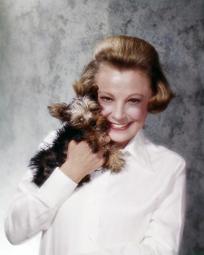 This is an image of Photograph & Poster of June Allyson 289664