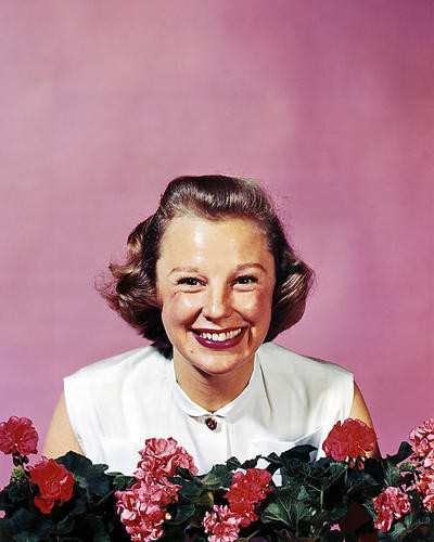 This is an image of Photograph & Poster of June Allyson 289669