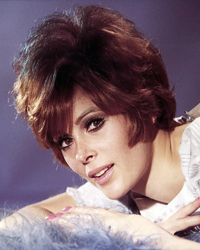 This is an image of Photograph & Poster of Jill St. John 289672