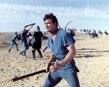 This is an image of Photograph & Poster of Steve Reeves 289675