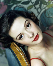 This is an image of Photograph & Poster of Jane Greer 289696