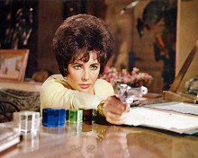 This is an image of Photograph & Poster of Elizabeth Taylor 289724