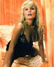 This is an image of Photograph & Poster of Valerie Perrine 289814